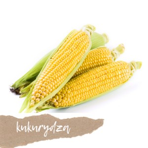 Kukurydza kolba 1 szt.