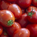 pomidorki daktylowe 100 g dostawa Warszawa