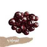 Wiśnie 500g   
