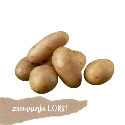 ziemniaki lord 1 kg świeże Warszawa