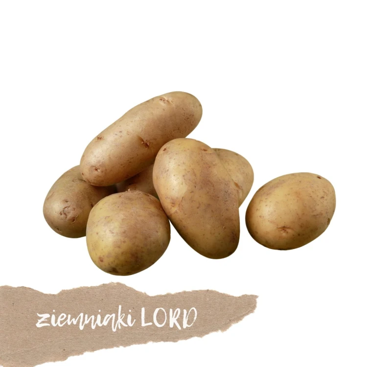 ziemniaki lord 1 kg świeże Warszawa