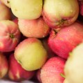 DSC00866.JPG