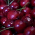 DSC00855.JPG