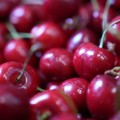 DSC00850.JPG