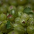 DSC00849.JPG