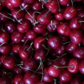 DSC00836.JPG