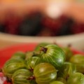DSC00747.JPG