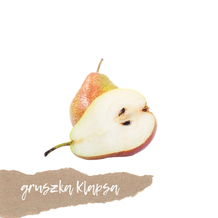 gruszka-klapsa-polska