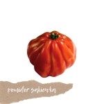 Pomidor sakiewka 1kg