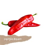 Papryka Ramiro 2- 3 szt.