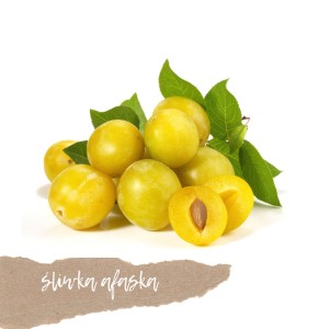 Śliwka Afaska 500g  