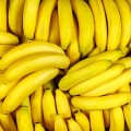 Banany premium Chiquita / Dole Banany najlepszej jakości Chiquita i Dole – dojrzałe, słodkie i soczyste owoce, idealne do jedzenia na surowo, koktajli i deserów 