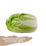 Kapusta pekińska EKOLOGICZNA 1 szt.