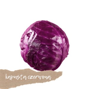 Kapusta czerwona 1 szt. 