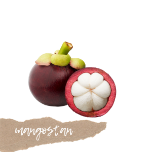 Mangostan 1 szt. 