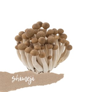 Grzyby Shimeji świeże 150g