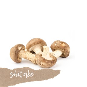 Grzyby Shitake świeże 200g