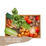 Zestaw ekologicznych warzyw i owoców