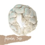 Fasola Jaś świeża (gruba) 500g 