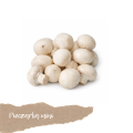 świeże grzyby pieczarki mini 250 g dostawa Warszawa