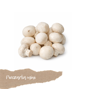 Pieczarka biała mini 250g