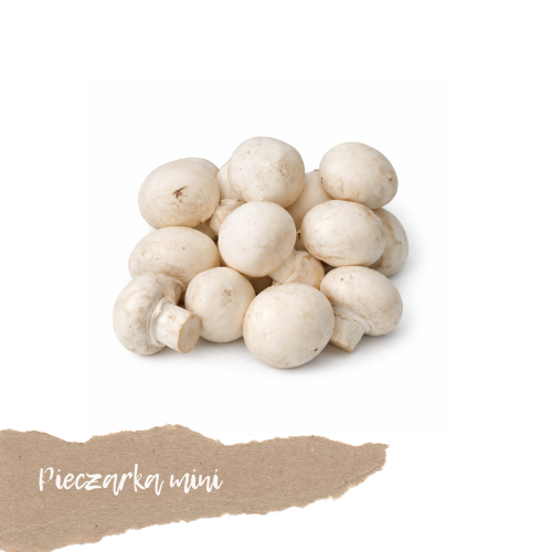 świeże grzyby pieczarki mini 250 g dostawa Warszawa