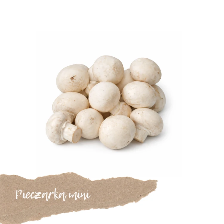 świeże grzyby pieczarki mini 250 g dostawa Warszawa