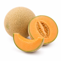 świeży melon kantalupa sklep Warszawa