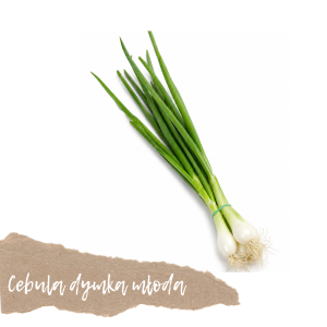 Cebula dymka 1 szt.