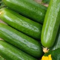 świeże ogórki zielone polskie 1 kg sklep warzywny Warszawa