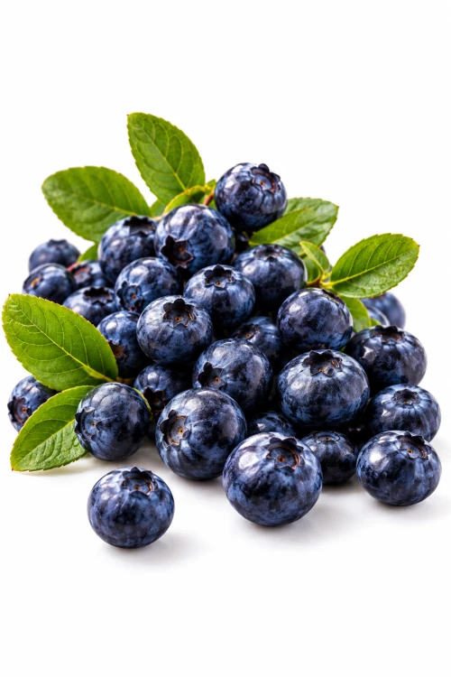 01E77325-8F18-4D1A-9FA9-43A5F7BF2BBD.png