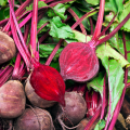buraki ekologiczne 1 kg naturalne dostawa Warszawa