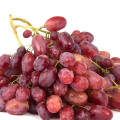 Fasolka (58).png