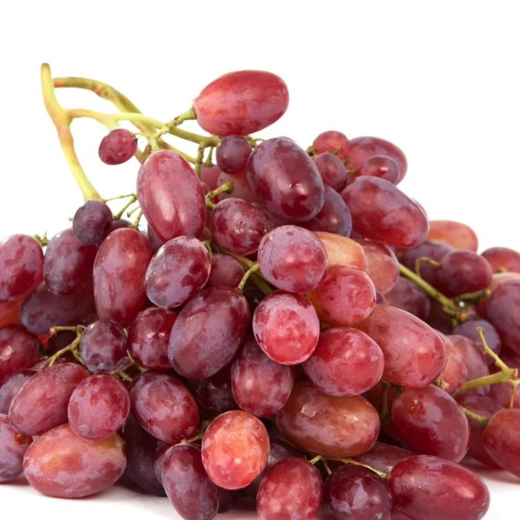 Fasolka (58).png