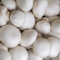 świeże pieczarki białe 500 g sklep Warszawa