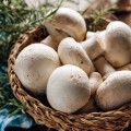 pieczarka biała 500 g świeża Warszawa
