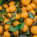 mandarynki hiszpańskie premium 500 g świeże Warszawa