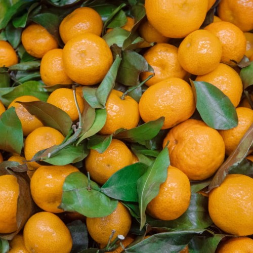 mandarynki hiszpańskie premium 500 g świeże Warszawa